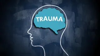 Violence, Trauma, and the Long Road Back