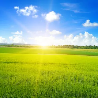 Leading With Grace Under Pressure