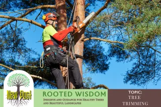 The Importance of Regular Tree Trimming: Ensuring Healthy Growth and More