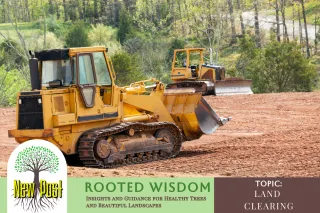 Land Clearing: Transforming Your Property for a Fresh Start
