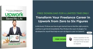 How to Earn Over 700$ Hourly on Upwork: Interview with Adam Palmer 