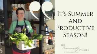 It's Summer and Productive Season!