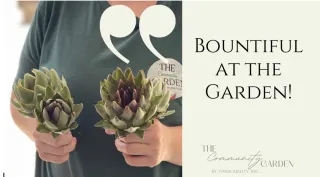 Bountiful at the Garden!