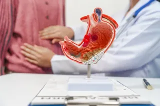 Lower Esophageal Sphincter Explained