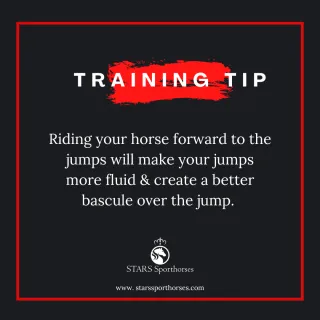 Training Tip! 