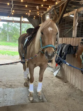 Update on Kayce