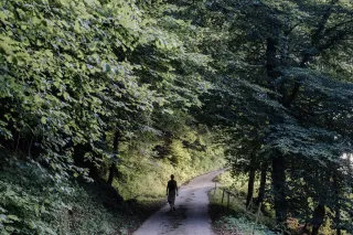 De Reiziger