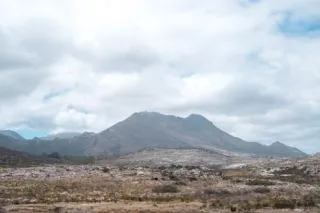 Vijf tot 7 generaties in de juiste orde - Systemisch werk met de Voorouders