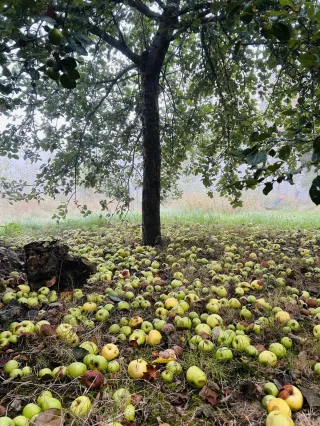  Voor wat afgerond is en niet voorbij - Gebed