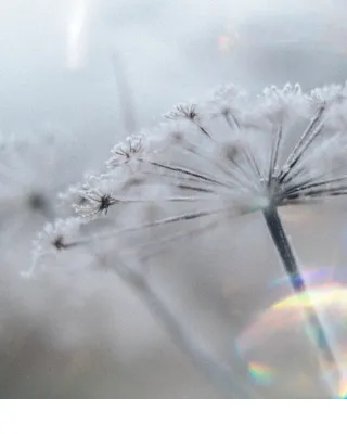 De Wachters op mijn pad- verslag van een sjamanistische healing