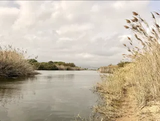 De Wachters op mijn pad- verslag van een sjamanistische healing