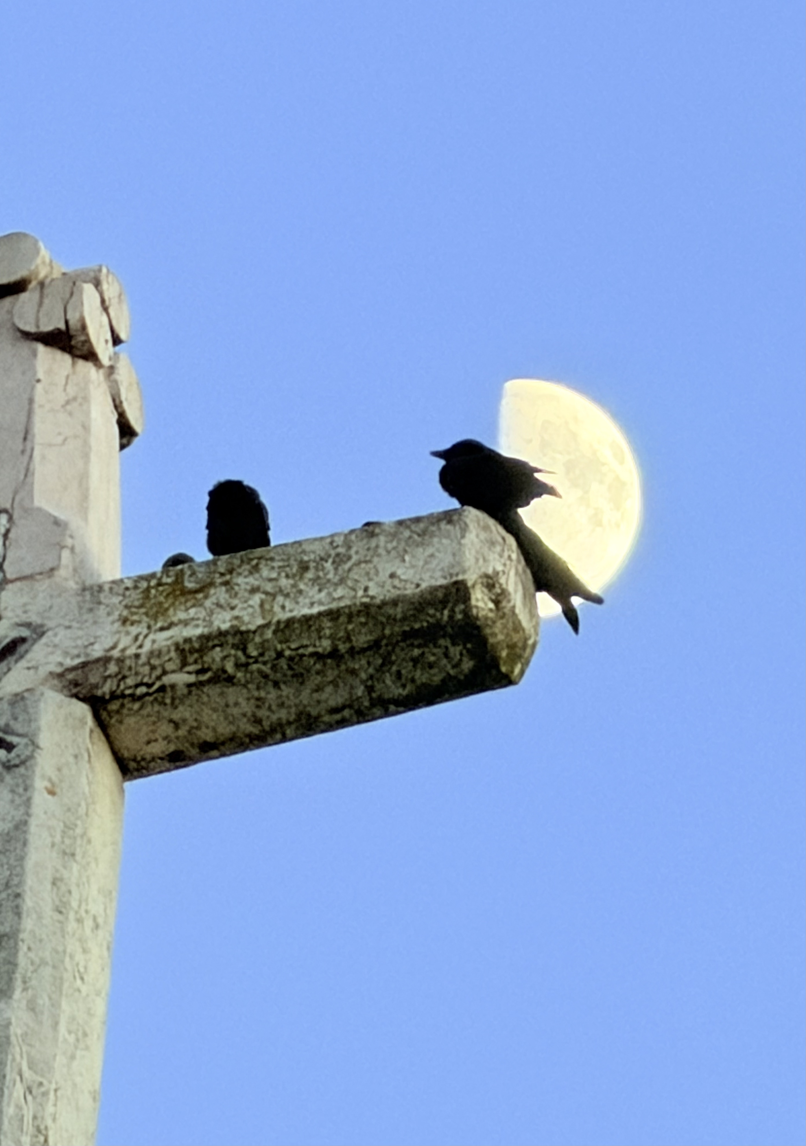 Mijn werk met de doden - sjamanistische healing