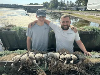 Early teal, What’s Your Tactic?