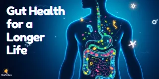 Gut Health for a Longer Life