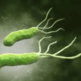 H. PYLORI: EXPLORING THE COMPLEXITIES OF THE GUT'S UNSEEN INVADER