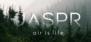 Why I Love the Jaspr (And Why My Whole Family Breathes Better Because of It)