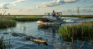 Explore the Wonders of Florida: Your Guide to the Sunshine State