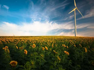 Why Energy Management Is More Important Than Time Management