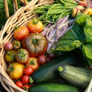 Harvest What You’ve Built: A Rebel’s Guide to Recognizing Your Wins