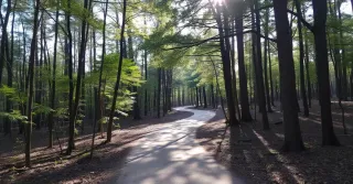 Balancing Masculine and Feminine Energy: Rediscover Joy and Fulfillment