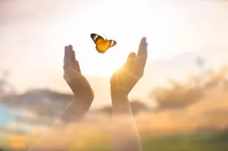 The Healing Power of the Butterfly Release