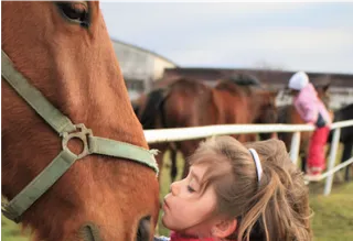 Getting Started with Kids’ Horse Riding Lessons