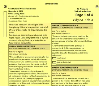 Sample Ballot For Nov 4th Election