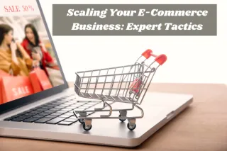 Scaling Your E-Commerce Business: Expert Tactics