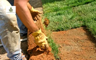 Residential Landscaping Near Me: Find the Right Local Company