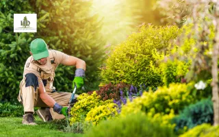 Garden Clean Up Near Me | Portland Yard Experts