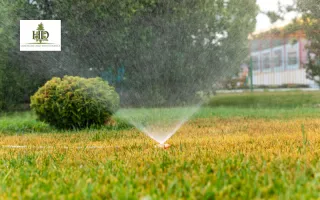 Lawn Sprinkler Repair in Portland | Expert Yard Care