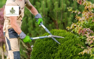 Lawn Care Maintenance Near Me | HD Landscape Troutdale