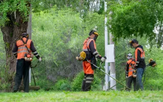 Professional Lawn Care Services