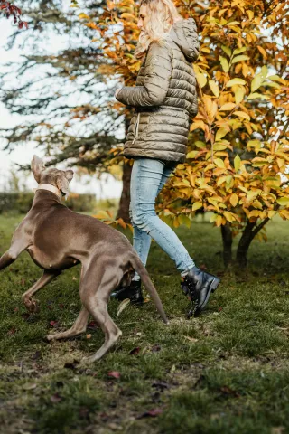 Outdoor Fall Activities to Stay Fit 🍂🏃‍♂️