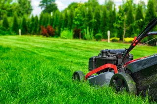Tonte de pelouse : erreurs fréquentes et conseils essentiels