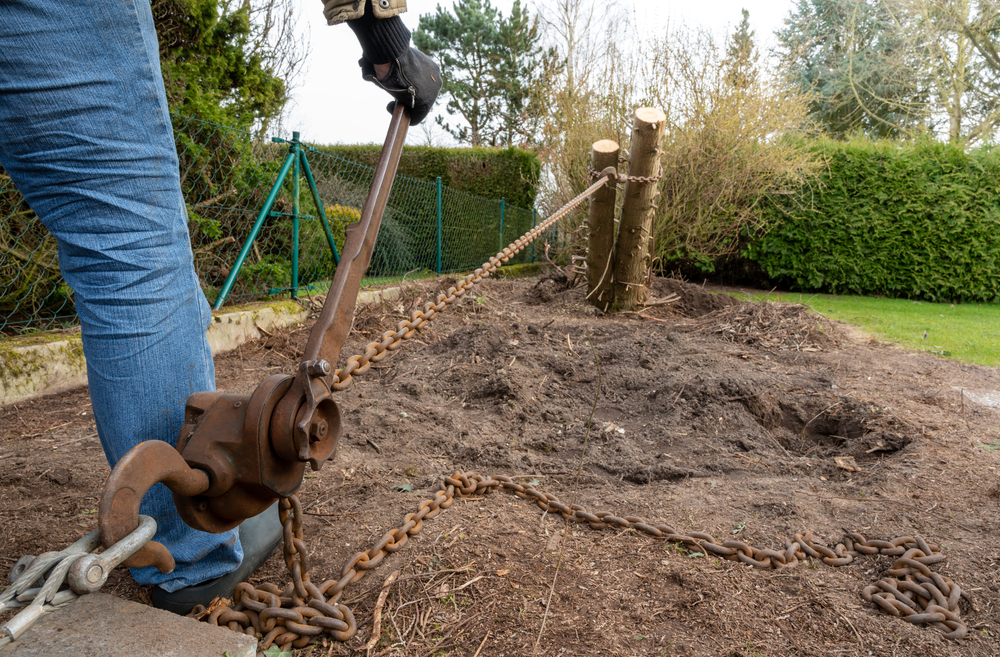 Do You Need to Remove Tree Roots After Stump Grinding?