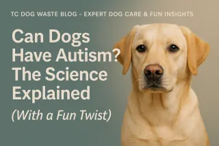 Can Dogs Have Autism? The Science Explained