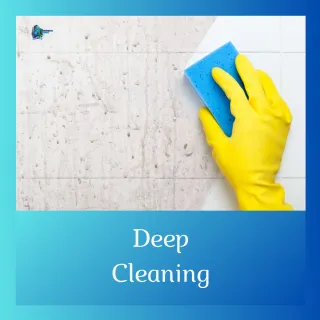 Deep Cleaning vs. Regular Cleaning: What Your Business Needs