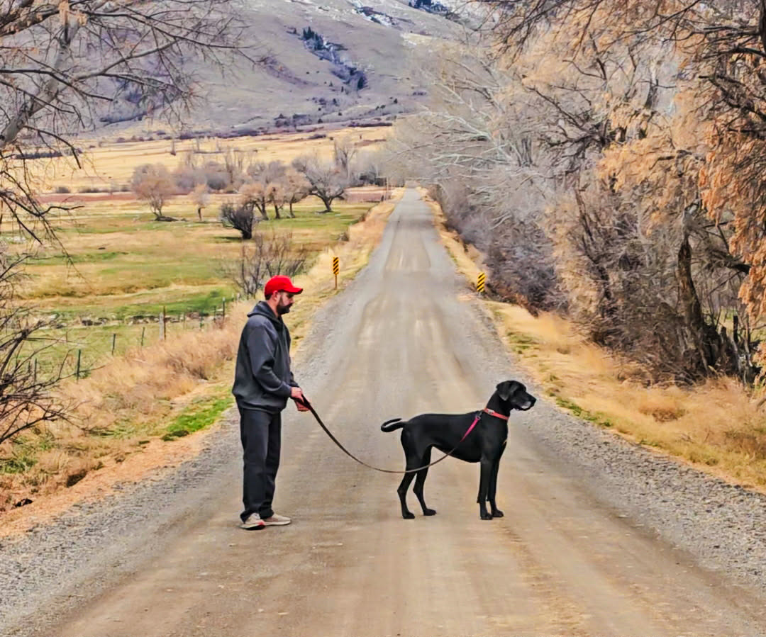 When Fear Becomes a Sales Strategy for Your Dog’s Health