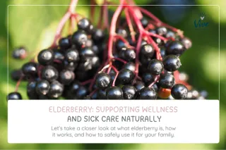 Elderberry: Supporting Wellness and Sick Care Naturally