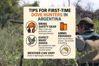 🎯 Tips for First-Time Dove Hunters in Argentina