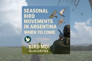 🕊️ Seasonal Bird Movements in Argentina: When to Come