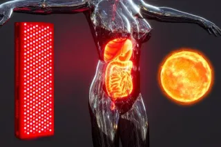 The Mind-Blowing Connection Between Gut Health, Light, and Your Body's Energy System: Unveiling the Secrets of Biophotons
