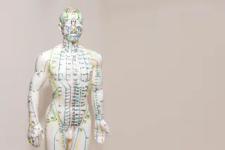 How does acupuncture work?