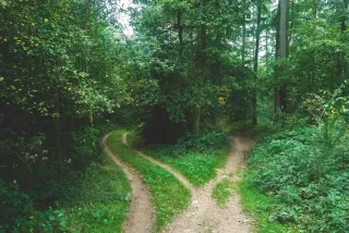 Why Change is Difficult and How Hypnotherapy Can Help