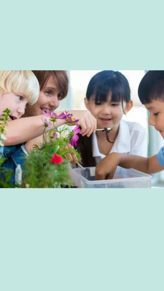 The Transformative Power of Arts including music, in Enhancing Mental Health and Emotional Regulation