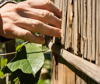 Preparing Your Fence for a Mild Winter in Hot Springs Village