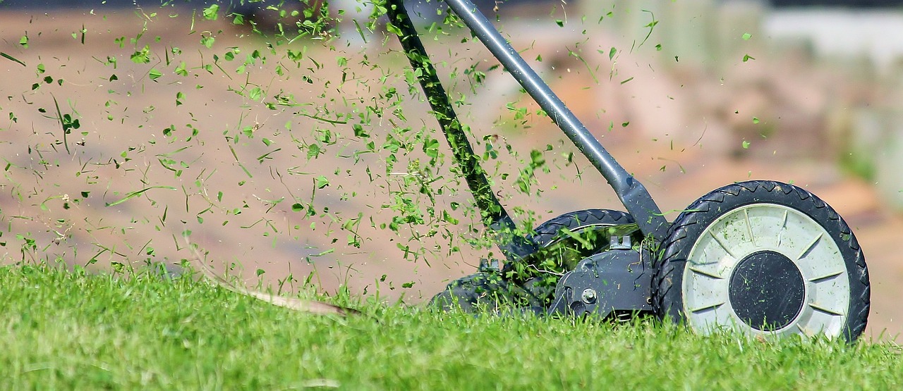 Lawn Mowing 101: Mastering the Basics for a Healthy Lawn
