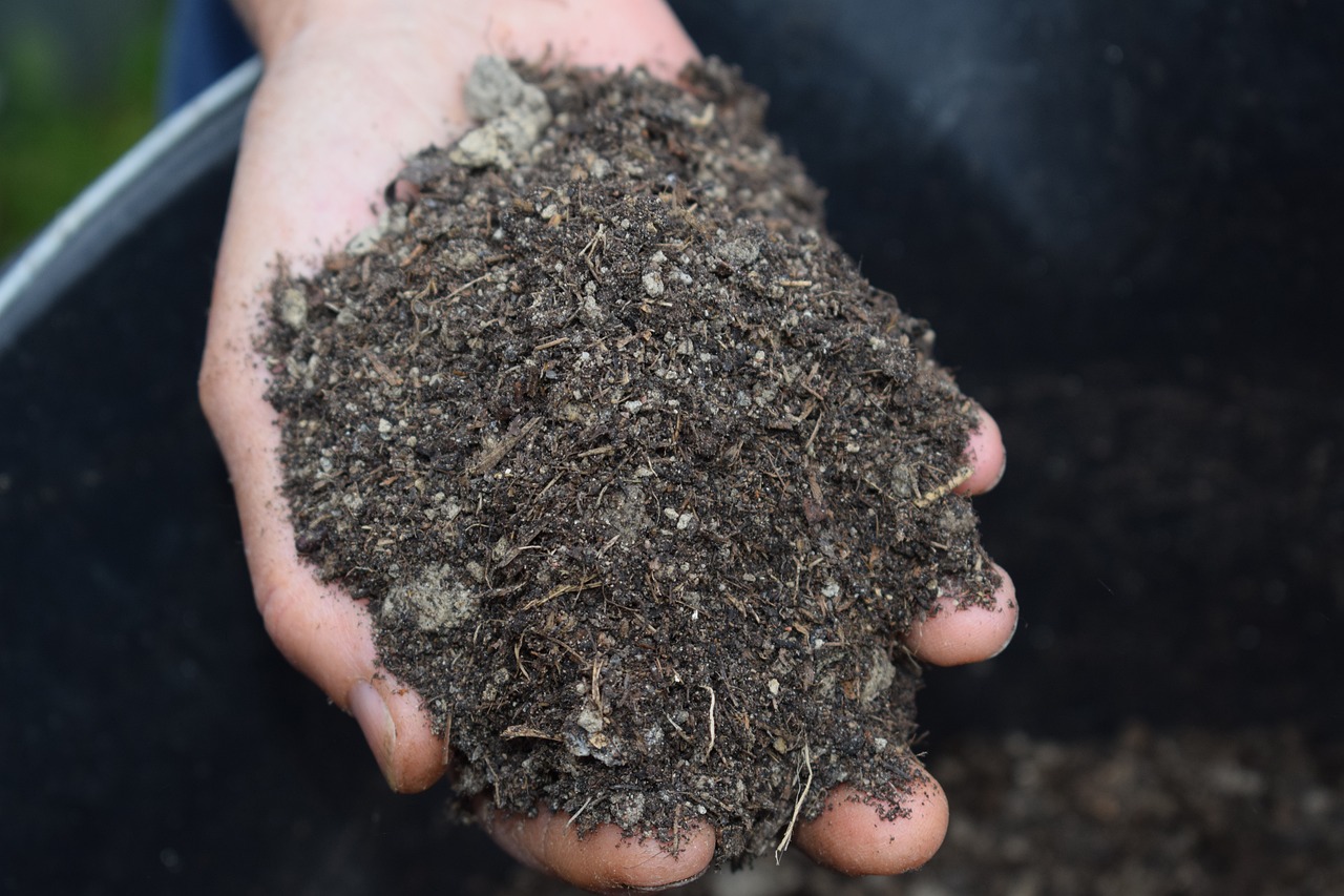 10 Surprising Benefits of Mulch for Your Lawn and Garden