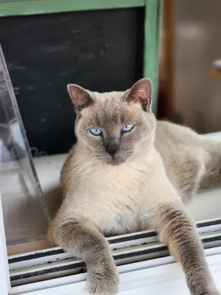 We’ve Moved! The New Leaf Greenhouse Plants New Roots in Attica